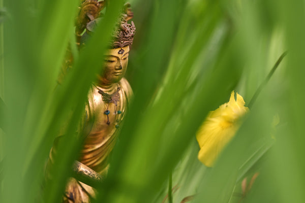 Greeting Card - Buddha in Nature (Butsuzo)