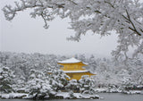 Greeting Card - Golden Pavilion in Snow