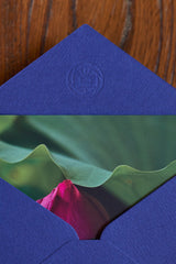 Greeting Card - Lotus Tsubomi
